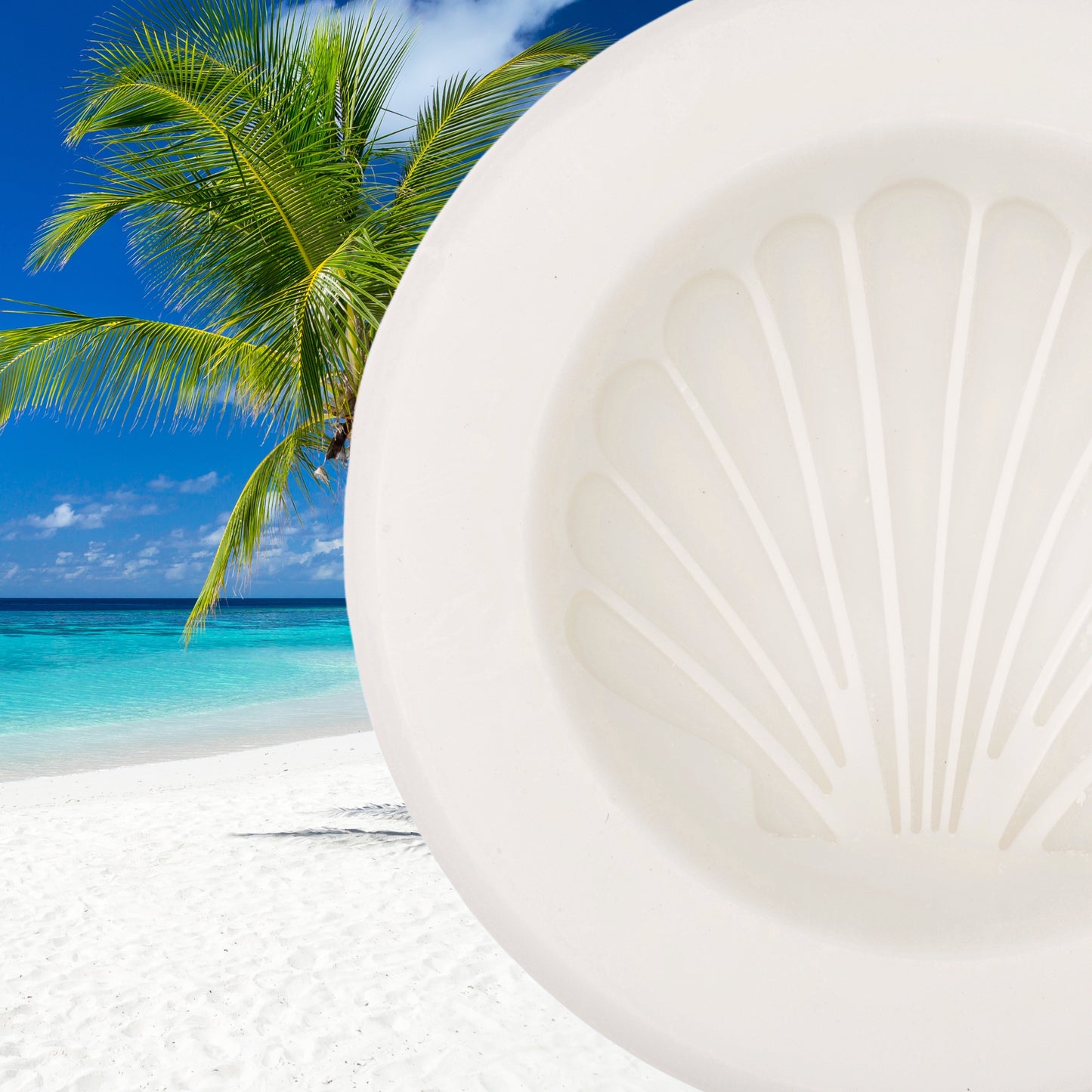 Tropical Paradise Scented Vessel - Shell