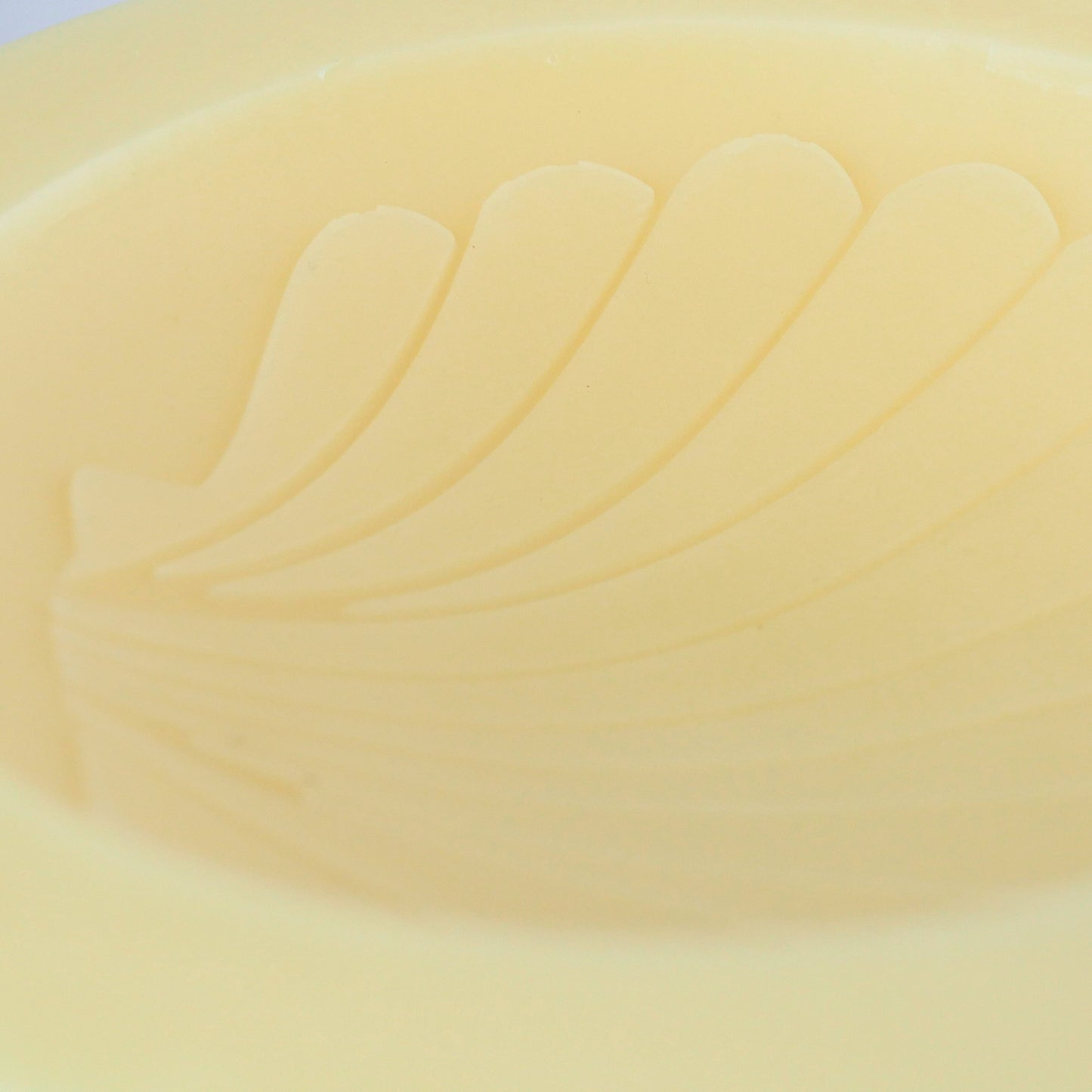 Tropical Paradise Scented Vessel - Shell