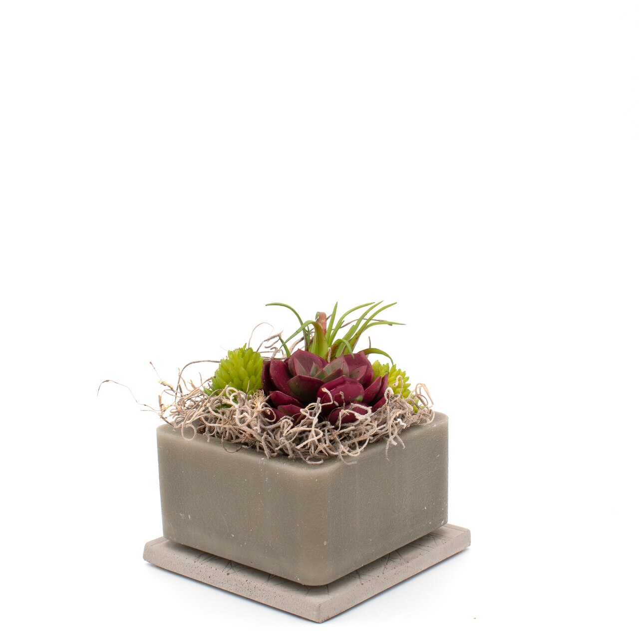 Habersham - Sand Storm Wax Geo Succulent 4" Squared (Stand Sold Separately)
