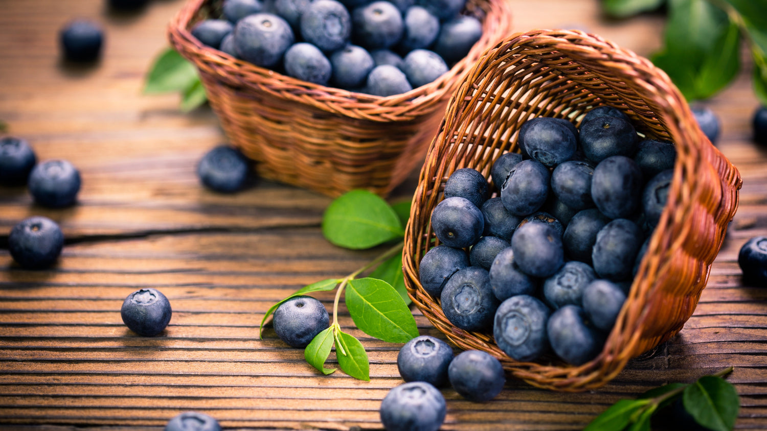 Fresh Picked Blueberries