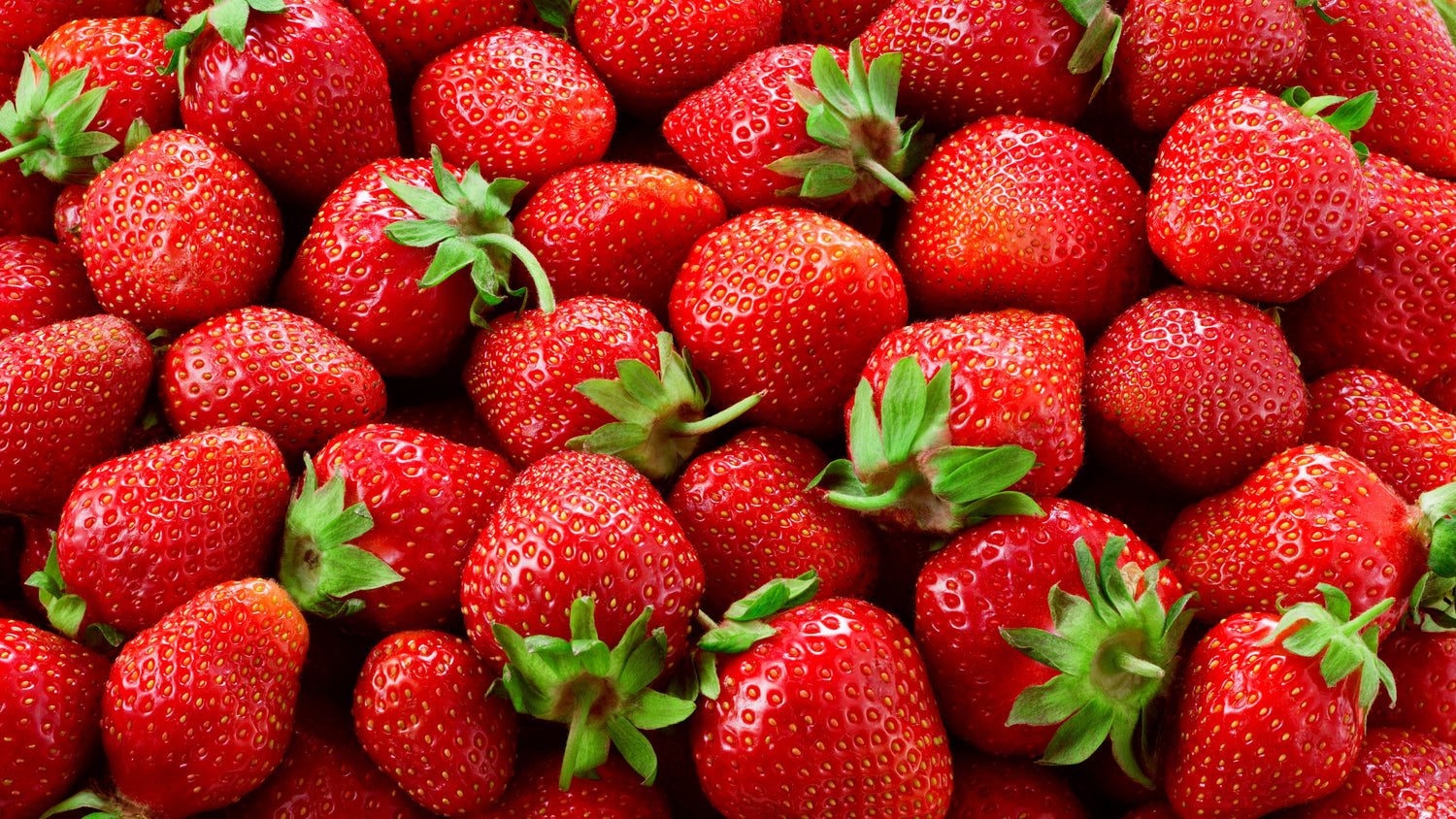 Fresh Strawberry