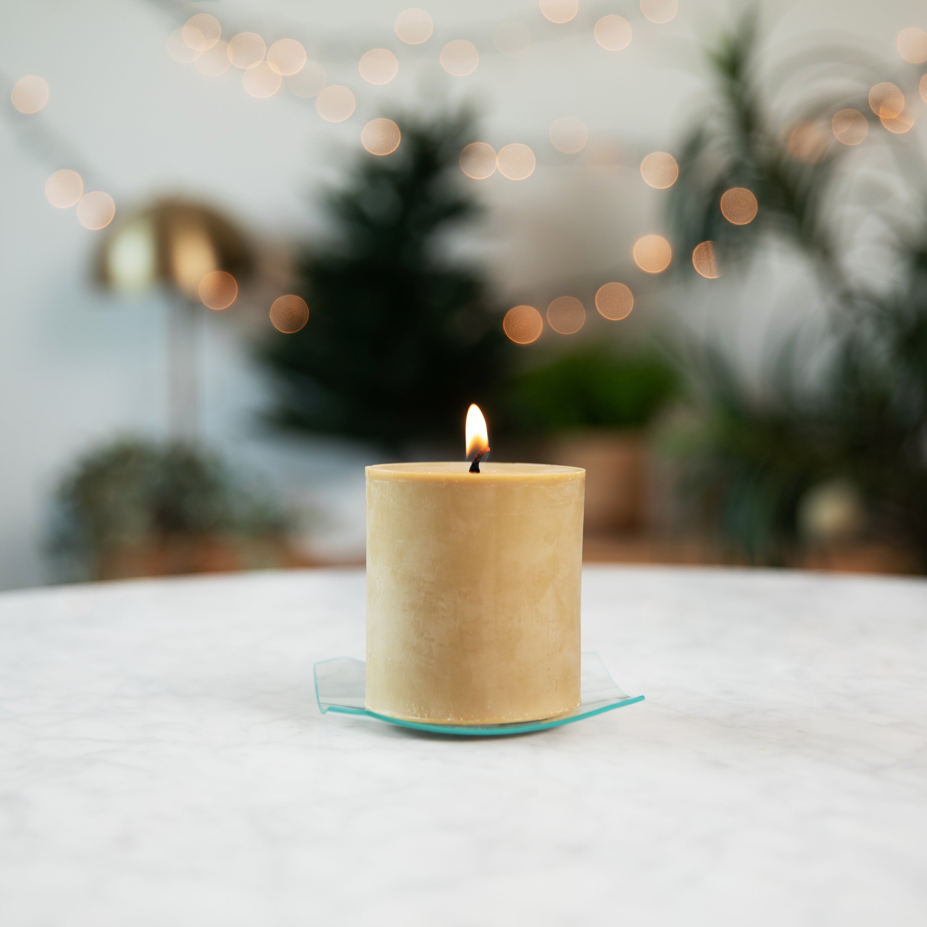 Real Bayberry Wax Traditional Pillar | Cape Candle