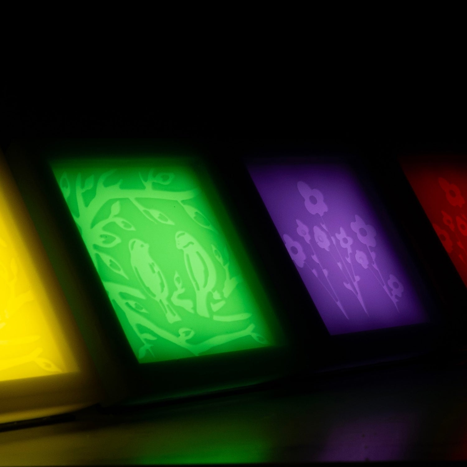 Fragrance Light Starter Kit