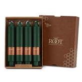 Dark Green: 7" Smooth Collenette (Box of 4) by Root