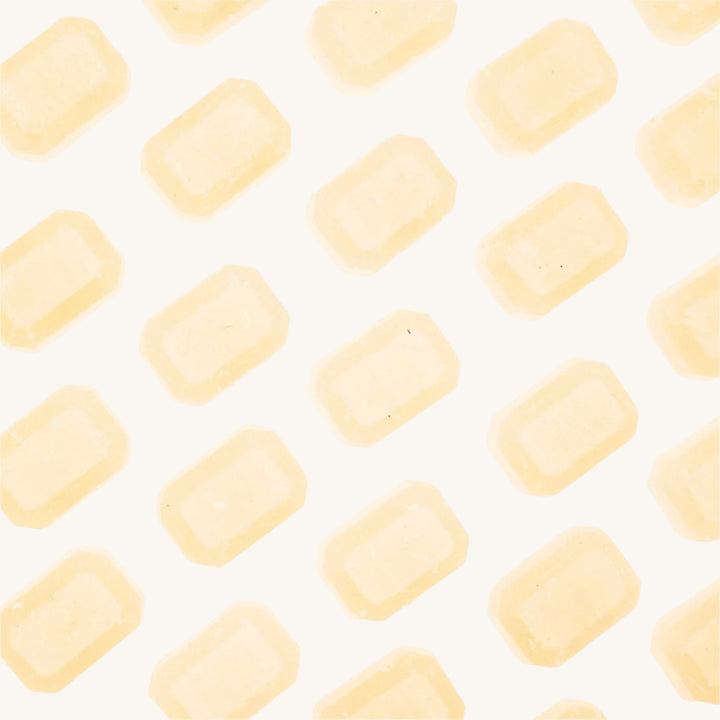 Spiced Vanilla 5.6oz Scented Wax Gems